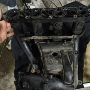 منیفولد زانتیا